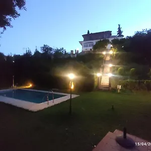 Cipreses Córdoba